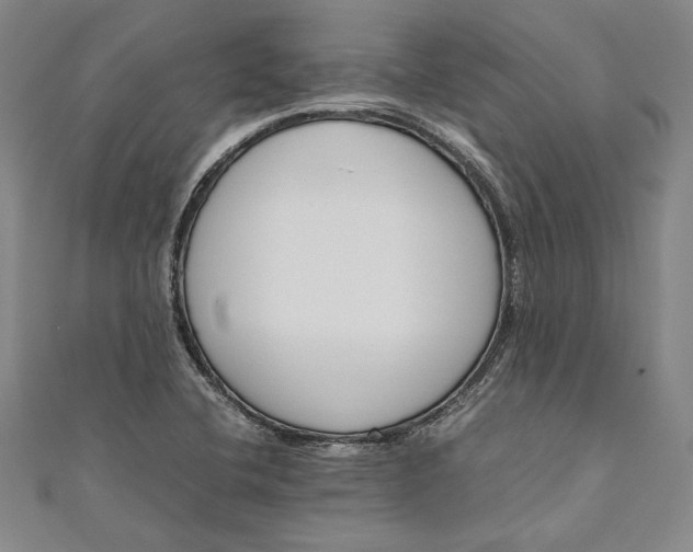 X0000111191412200907221059