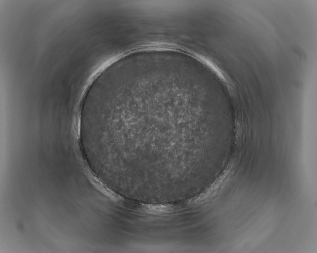 X0000111191413200907221059