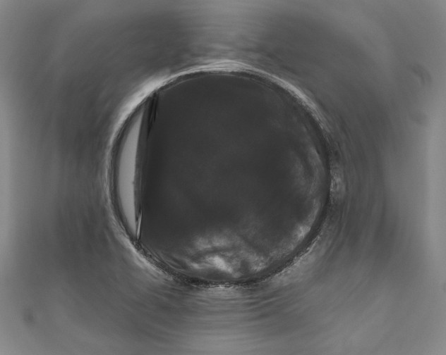 X0000111191414200907221059