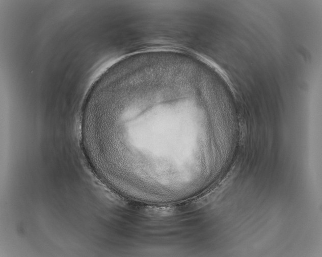 X0000111191415200907221059