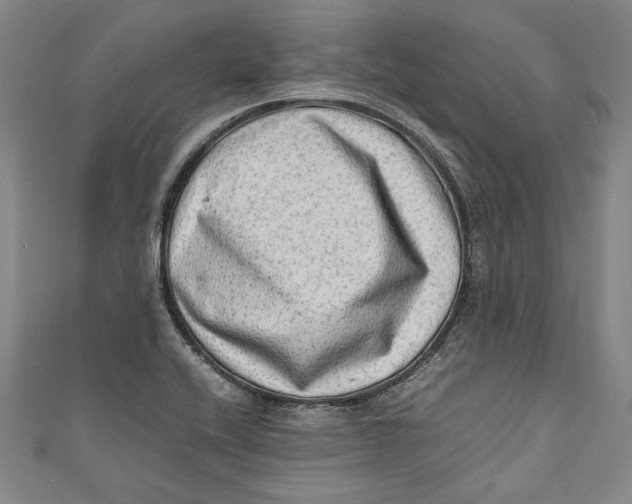 X0000111191416200907221059