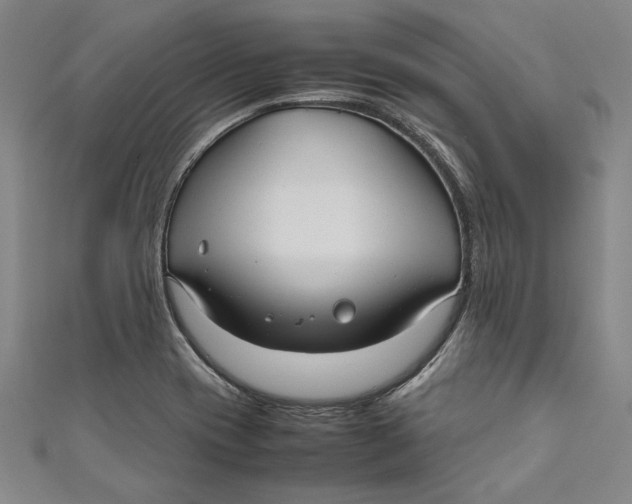 X0000111191417200907221100