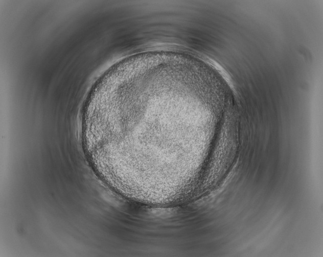 X0000111191419200907221100