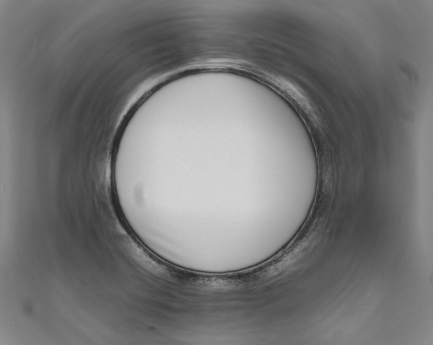 X0000111191420200907221100