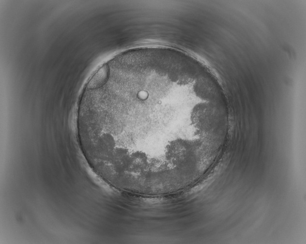 X0000111191421200907221100