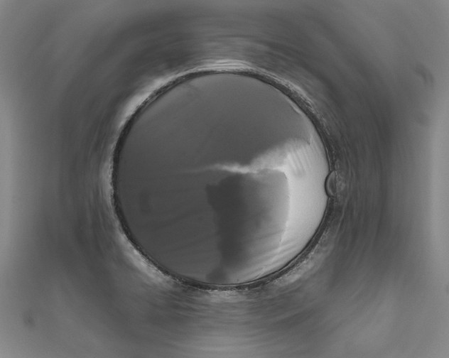 X0000111191422200907221100