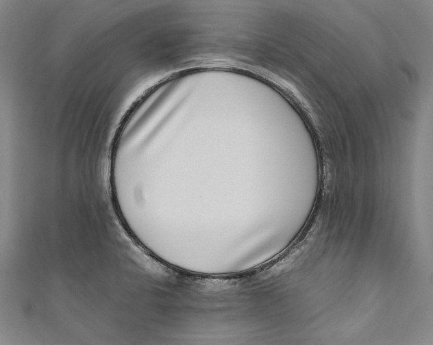 X0000111191424200907221100