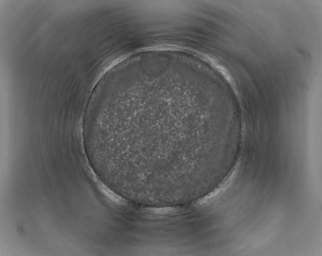 X0000111191425200907221100