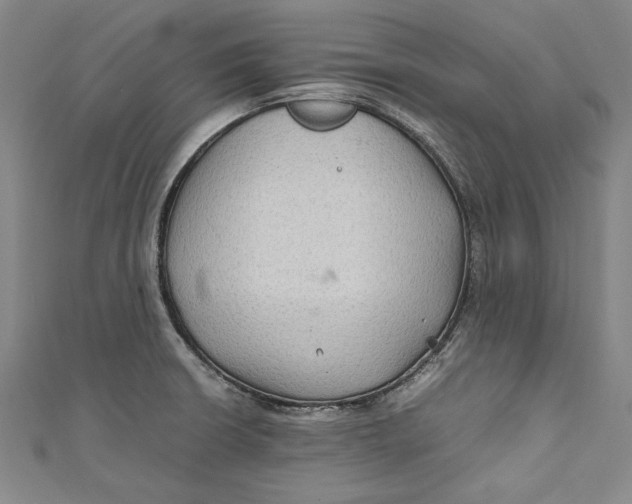 X0000111191426200907221100