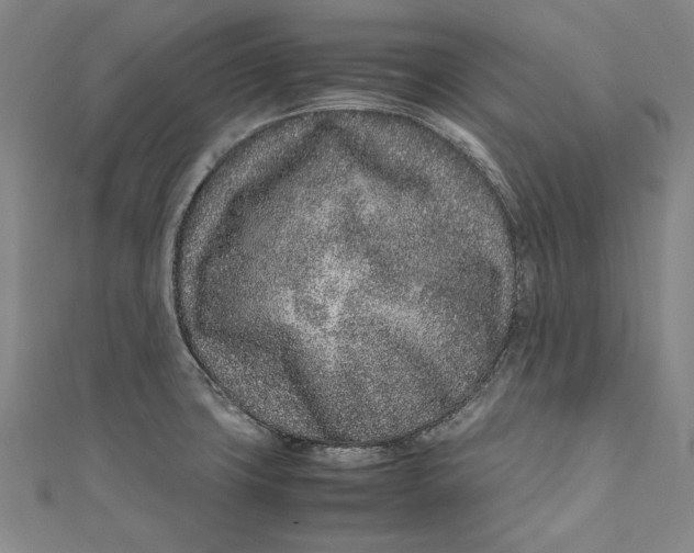 X0000111191427200907221100