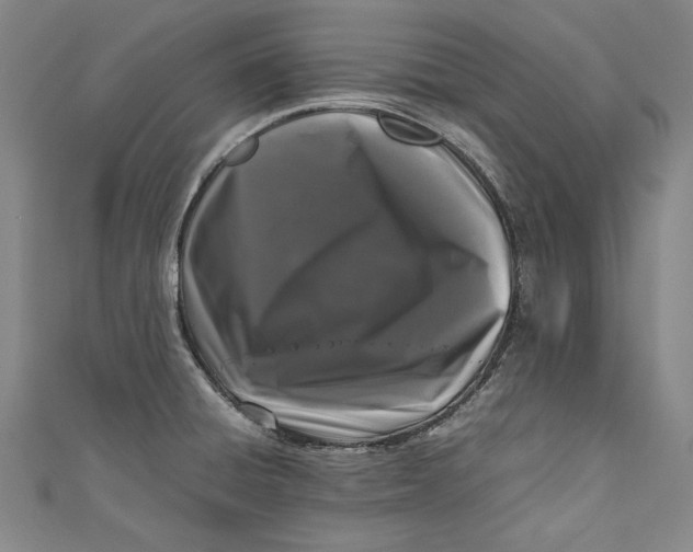 X0000111191428200907221100