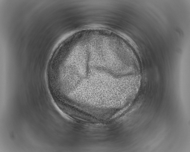 X0000111191429200907221100