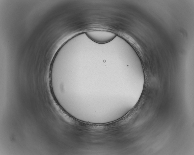 X0000111191431200907221100