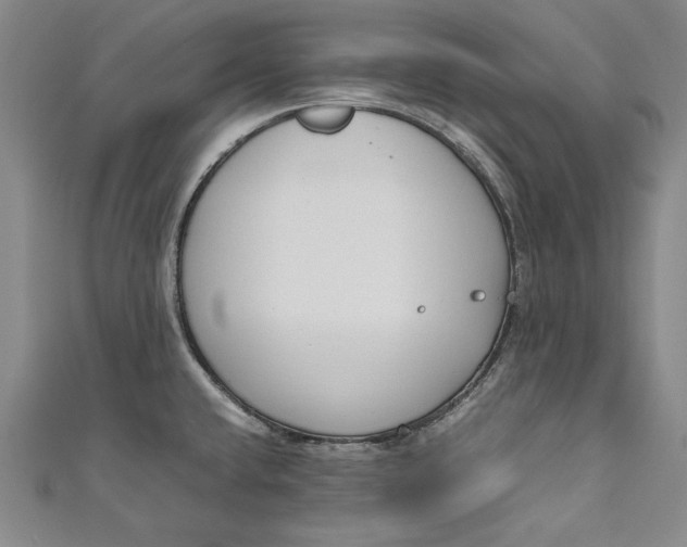 X0000111191432200907221100