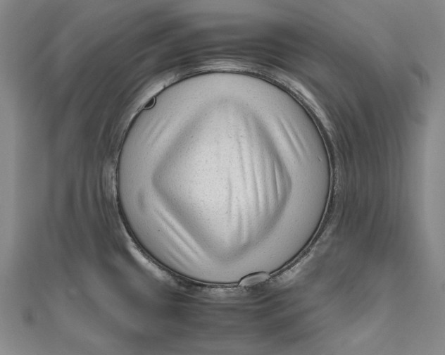 X0000111191433200907221100