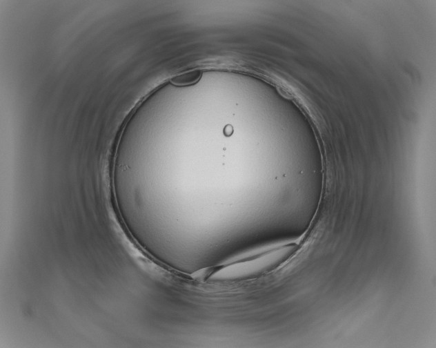 X0000111191434200907221100