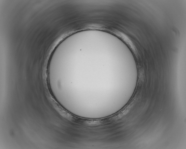 X0000111191435200907221100