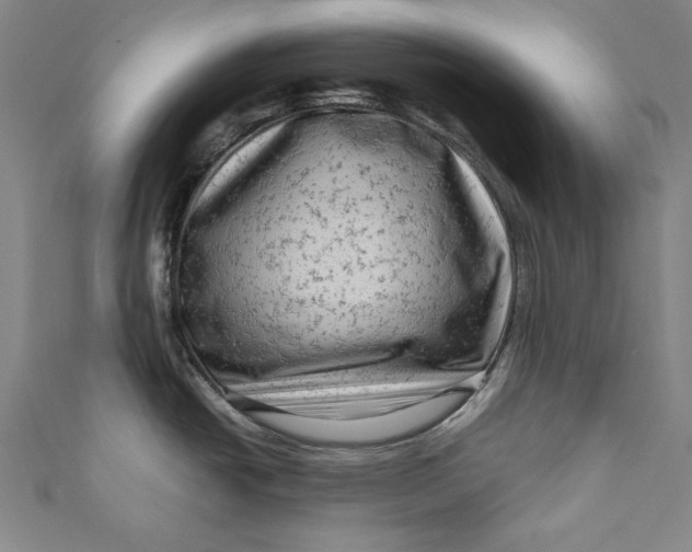 X0000111191438200907221100