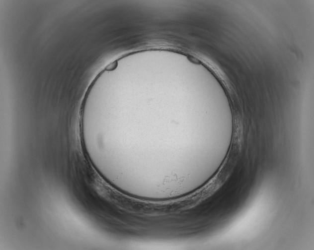 X0000111191439200907221100