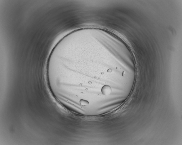 X0000111191440200907221100