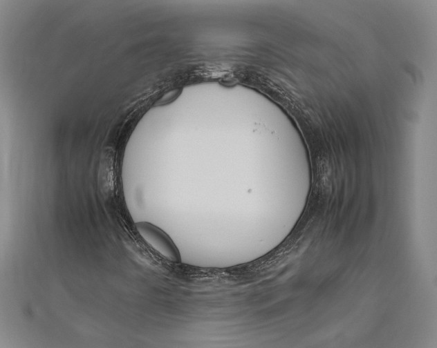 X0000111191442200907221059