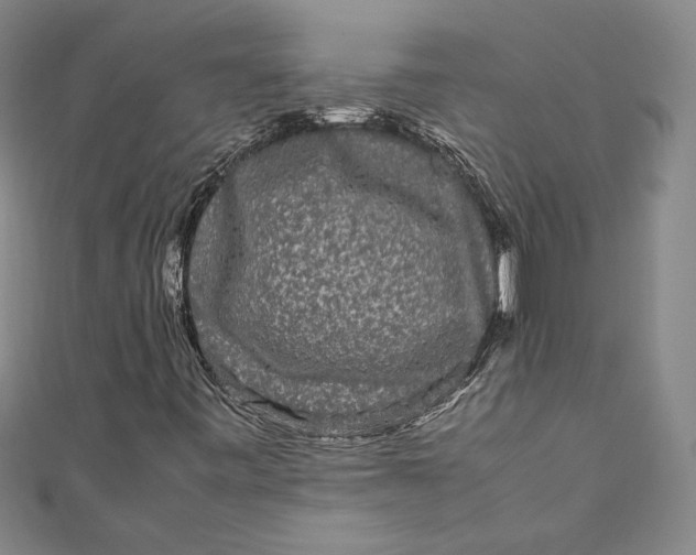 X0000111191443200907221059