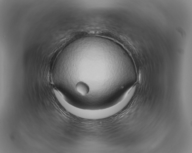 X0000111191444200907221059