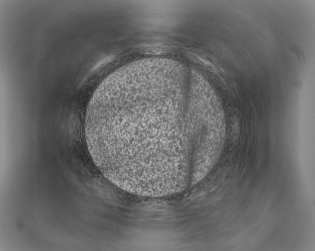 X0000111191446200907221059