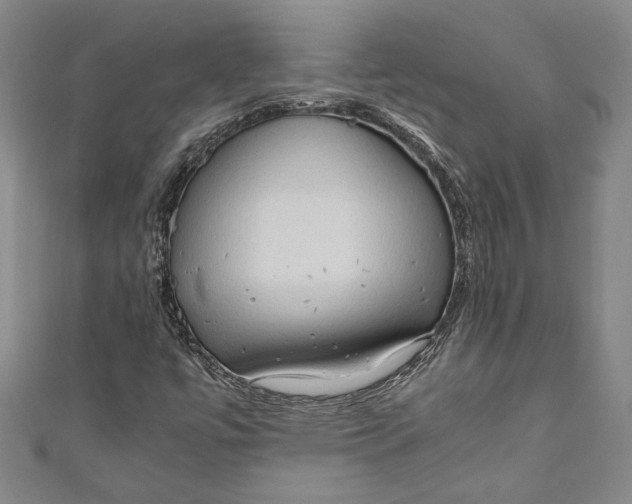 X0000111191447200907221059