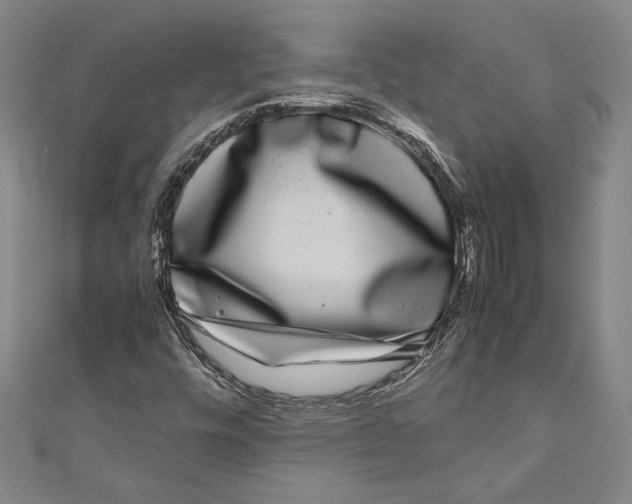 X0000111191448200907221059