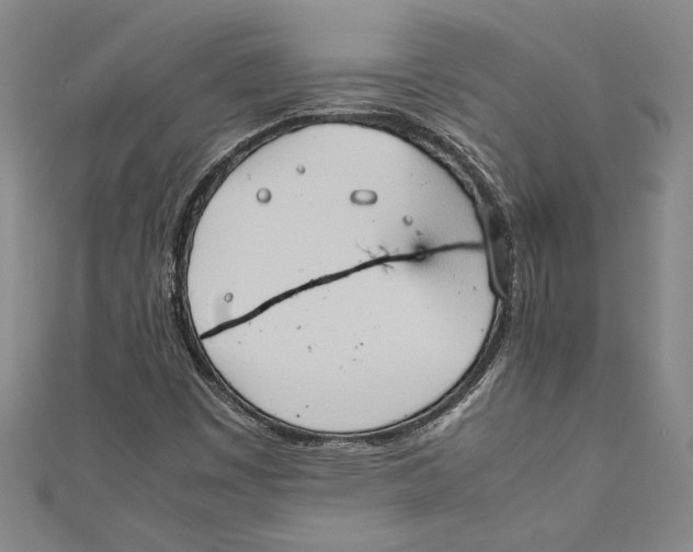 X0000111191449200907221059