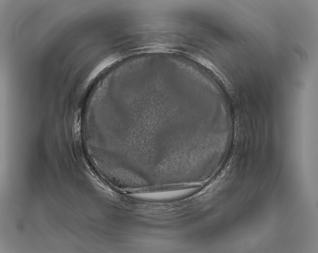 X0000111191450200907221059