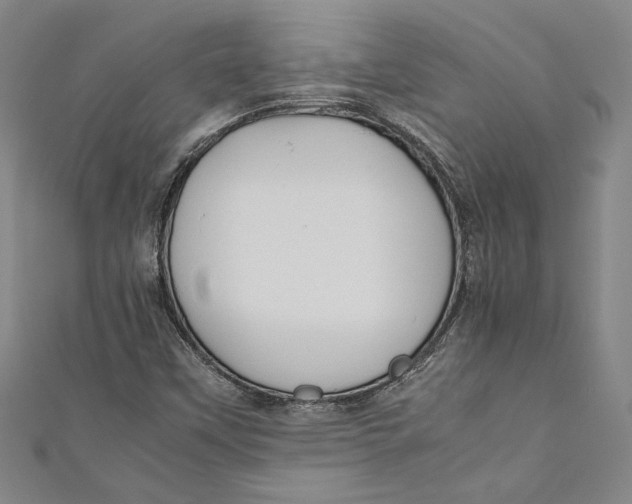 X0000111191451200907221059