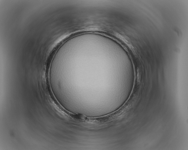 X0000111191452200907221059