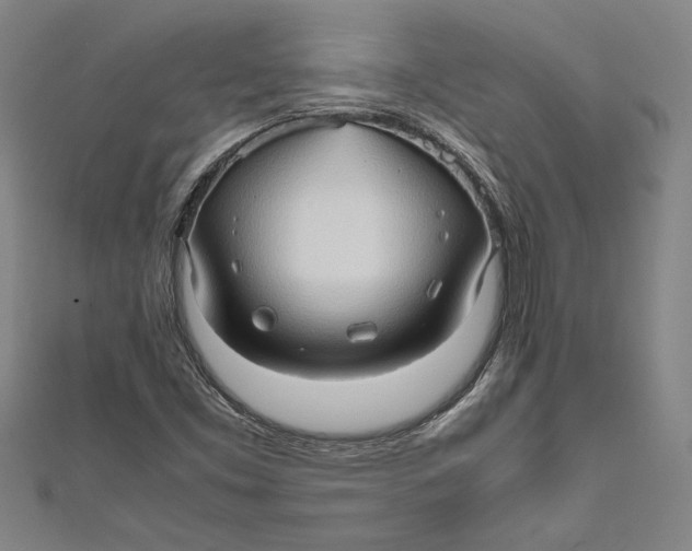 X0000111191453200907221059