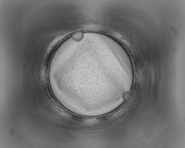 X0000111191454200907221059