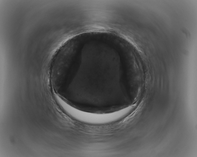 X0000111191455200907221059