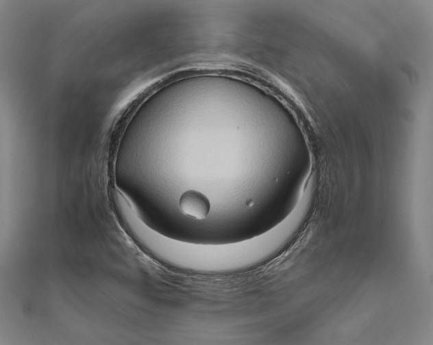 X0000111191456200907221059