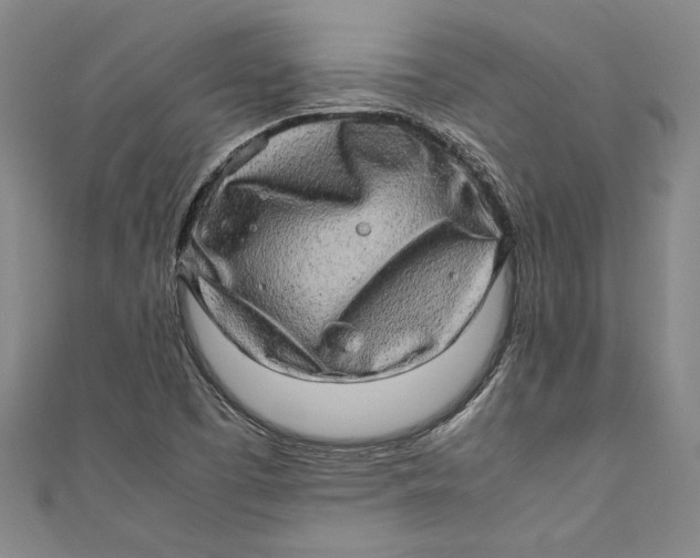 X0000111191457200907221059