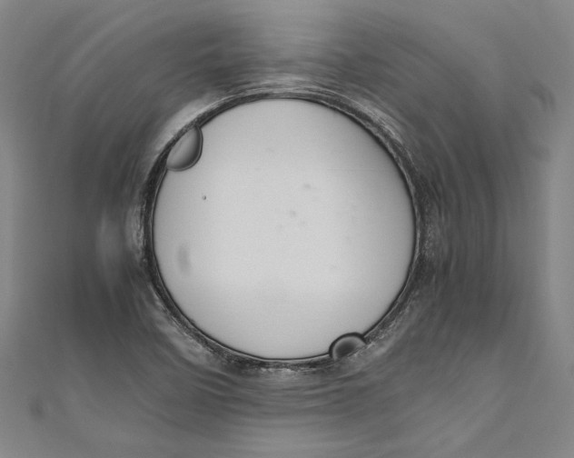 X0000111191458200907221059