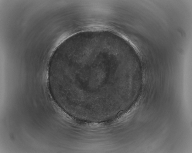 X0000111191459200907221059