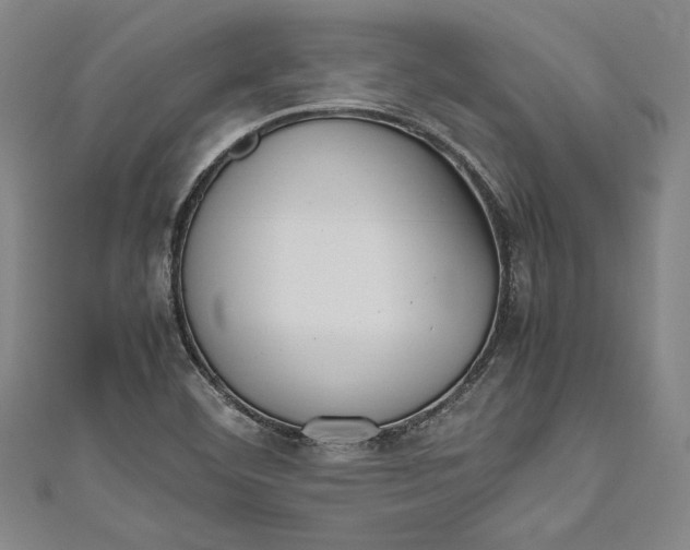 X0000111191460200907221059