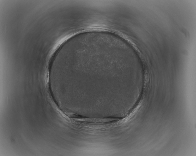 X0000111191461200907221059