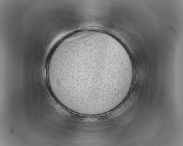 X0000111191462200907221059