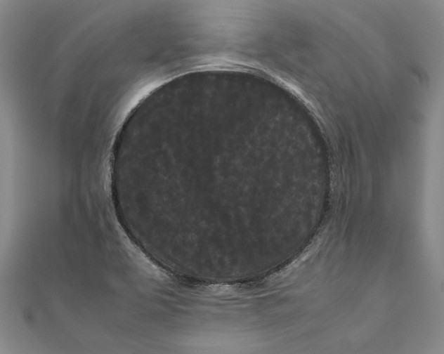 X0000111191463200907221059