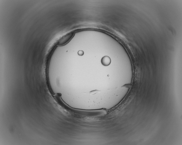 X0000111191464200907221059