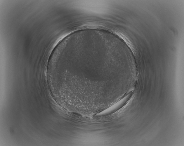 X0000111191465200907221059