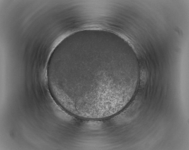 X0000111191466200907221059