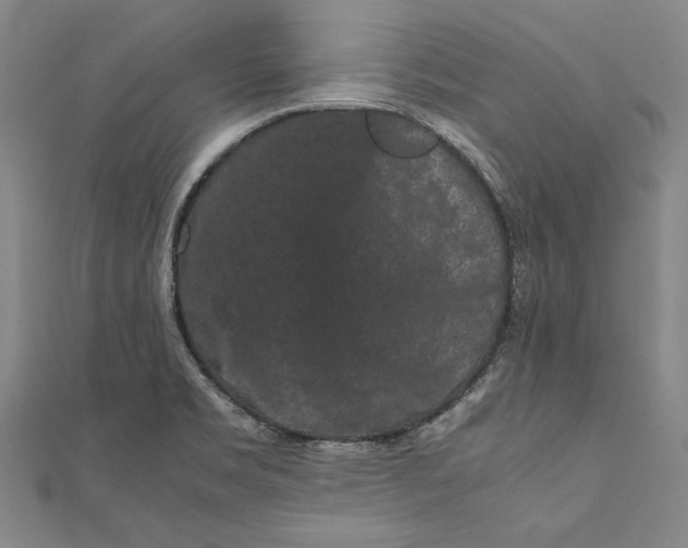 X0000111191469200907221059