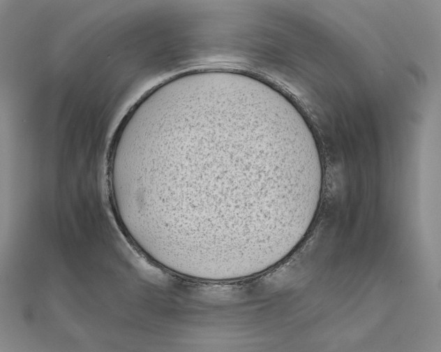 X0000111191470200907221059